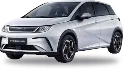 BYD Dolphin, Car